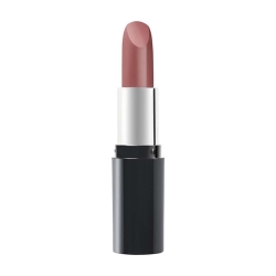 Pastel Nude Lipstick Ruj No:534