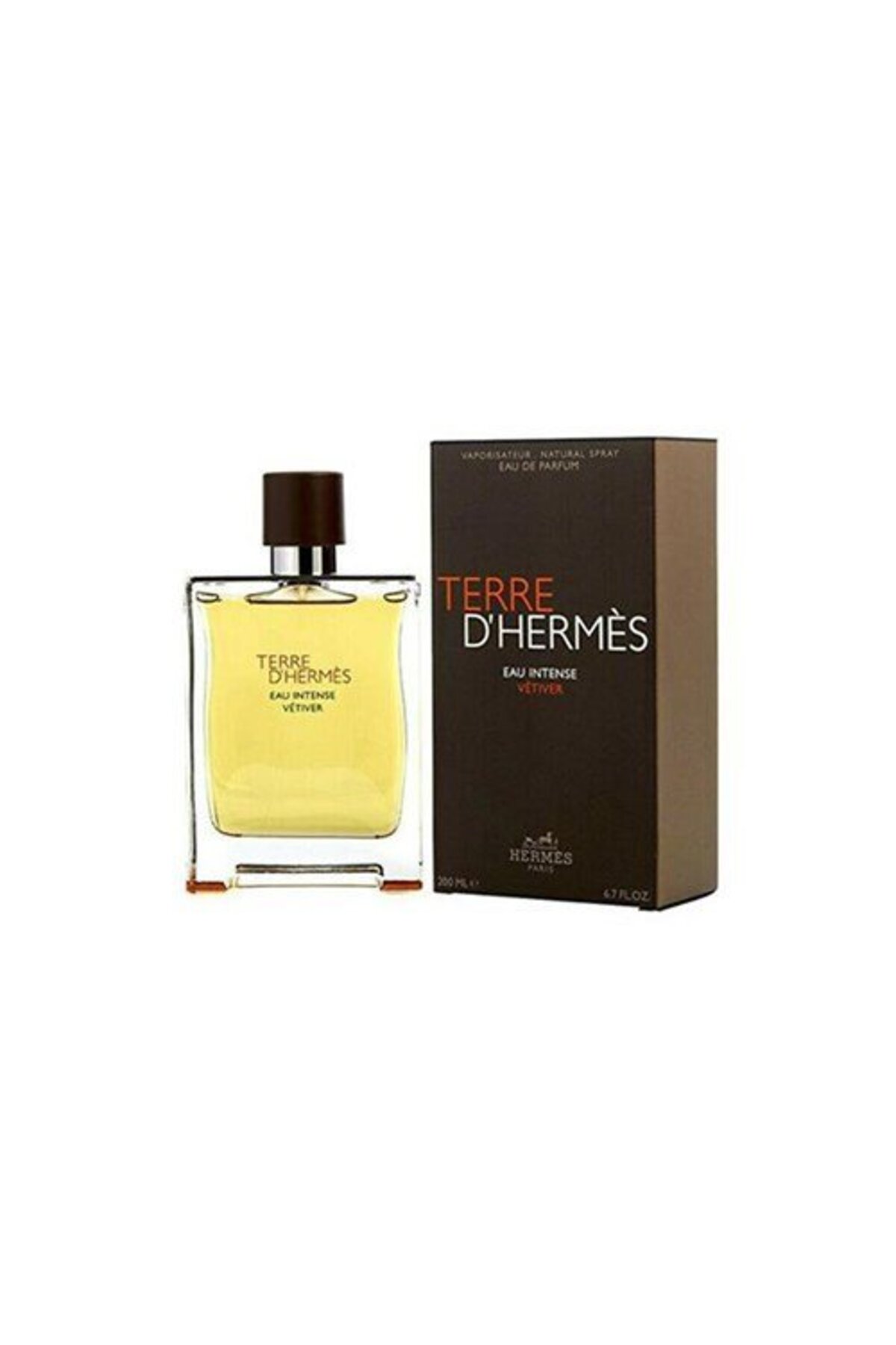 HERMES PARIS Hermes Terre D Hermes Eau Intense Vetiver Edp 100 ml Erkek Parfüm