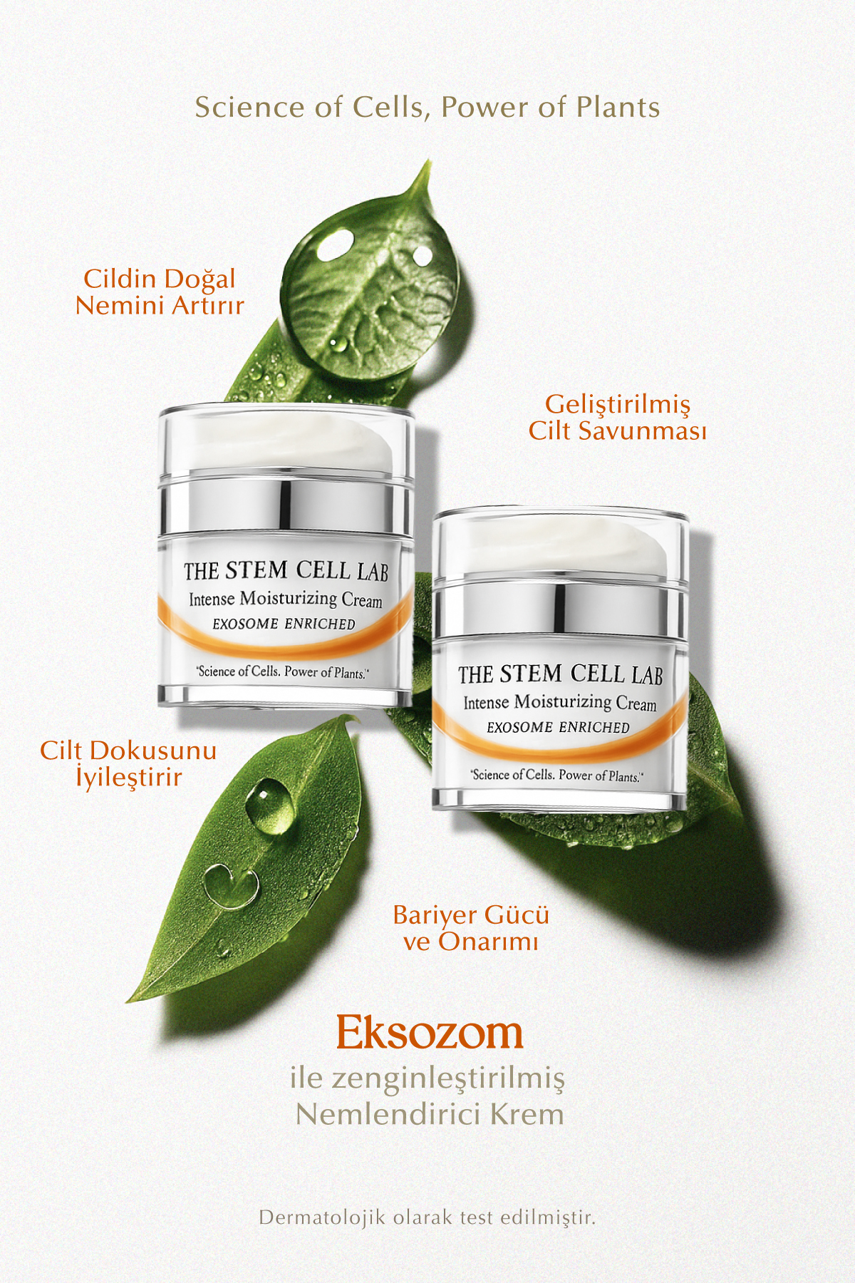 The Stem Cell Lab 101 Intense Moisturizing Cream (Yoğun Nemlendirici Krem) 50 ml X 2 Adet