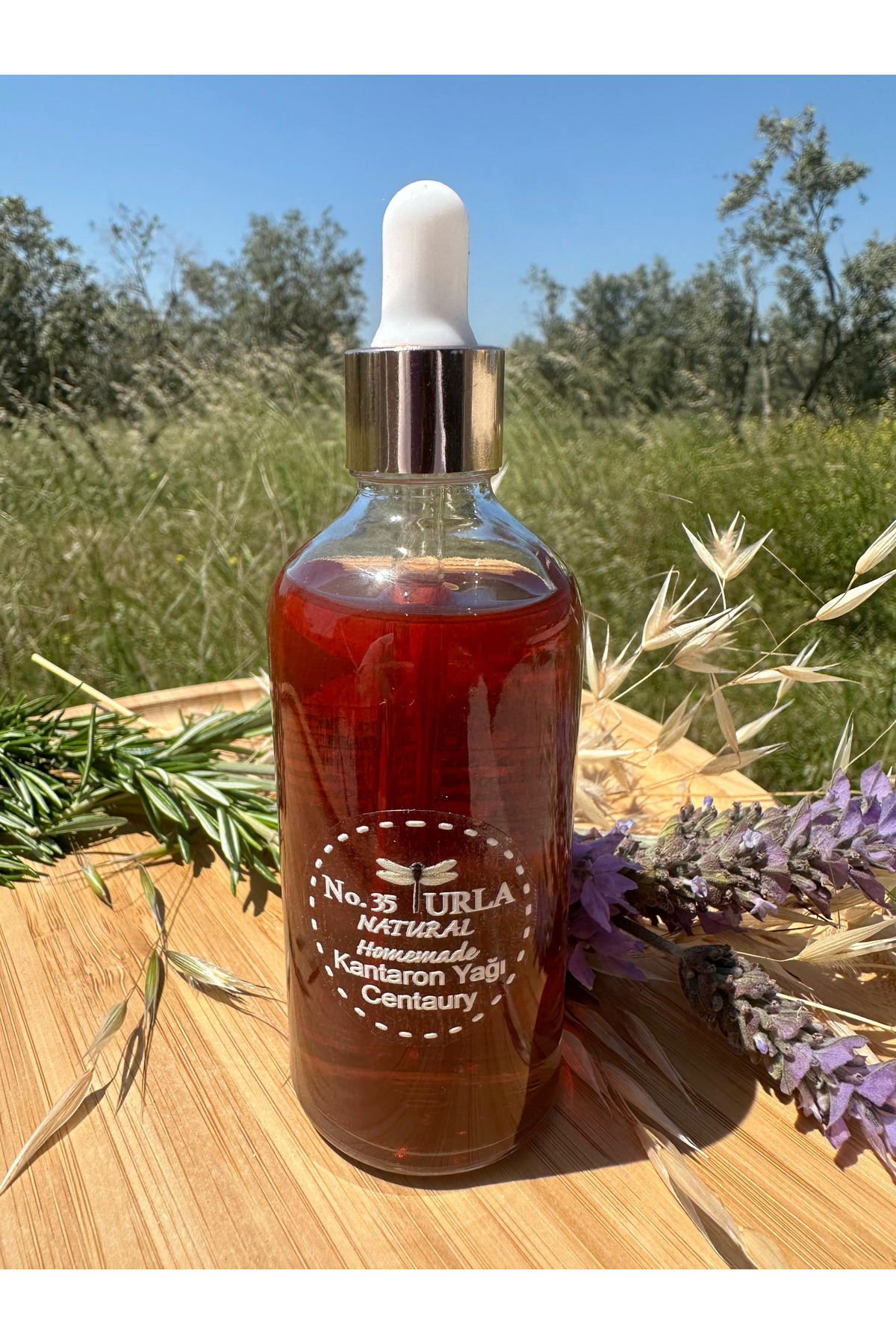 No35Urla Kantaron Yağı Yanık ve için 100 ml