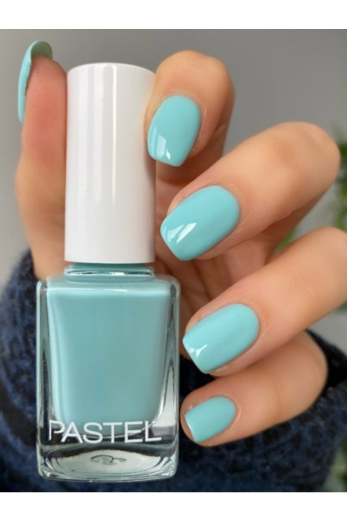 Pastel Oje 313