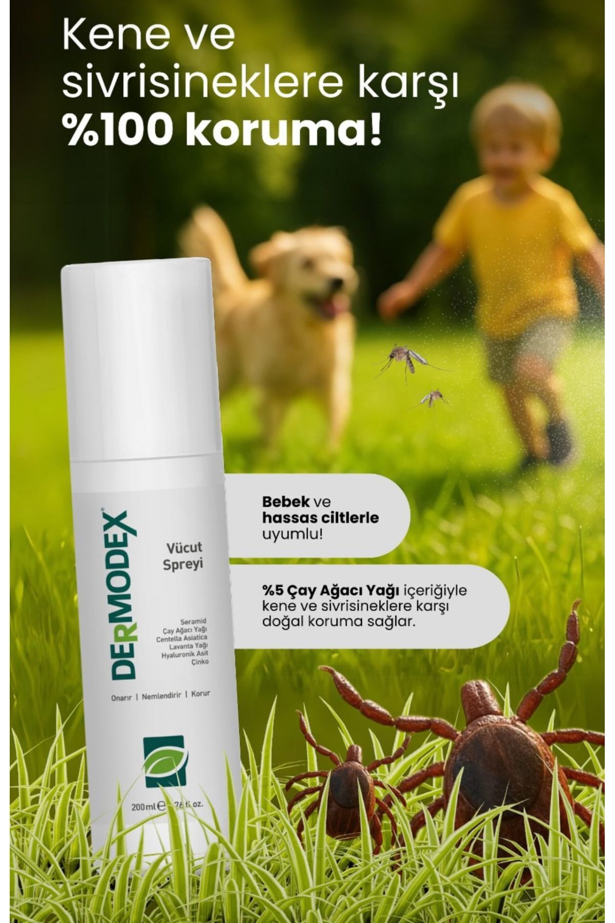 DERMODEX Kene Ve Vücut Spreyi 200ml Akne, , Mantar, Bit, Kene Kovucu ( Çay Ağacı Yağı, Centelle