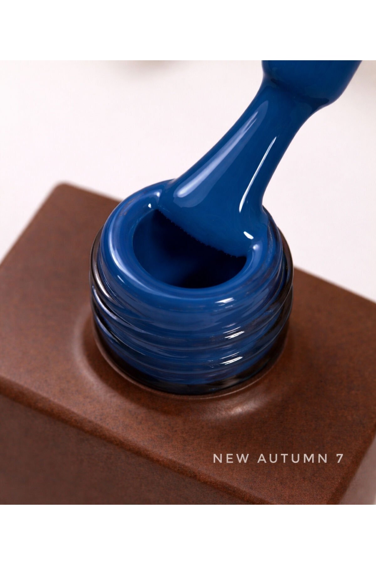 VB VIOLA BEAUTY NEW AUTUMN KALICI OJE SERİSİ -13ML ( Protez Tırnak Kalıcı Oje ) TPO FREE