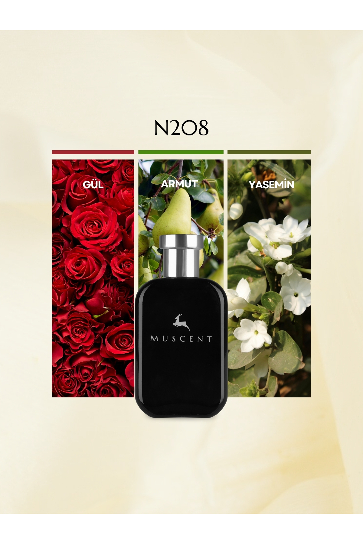 MUSCENT N208 Idoll 50 ml.